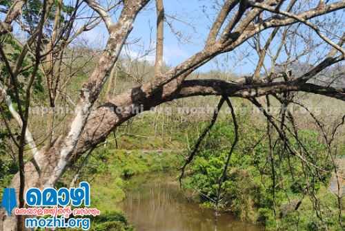 Cherippittakavu